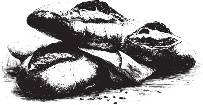 French baguette breads illustration on a white background. This vector illustration can be used in any size you like for advertising, logos, and other work.