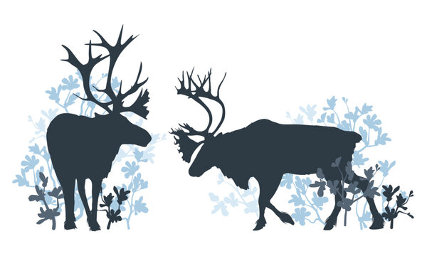 Silhouettes of reindeer with antlers and bearberry bushes with berries, northern wildlife and tundra flora, forest animals vector illustration isolated on white