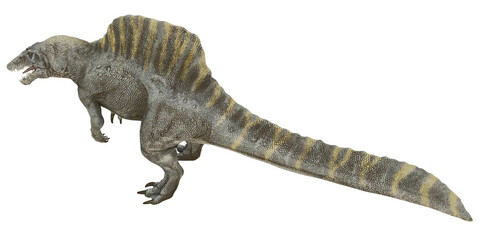Realistic 3D rendering of a Spinosaurus dinosaur. © Ilie