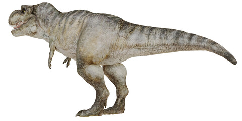 Fototapeta premium Realistic depiction of a Tyrannosaurus Rex.