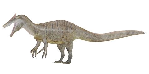 Fototapeta premium Realistic dinosaur model with an open mouth.