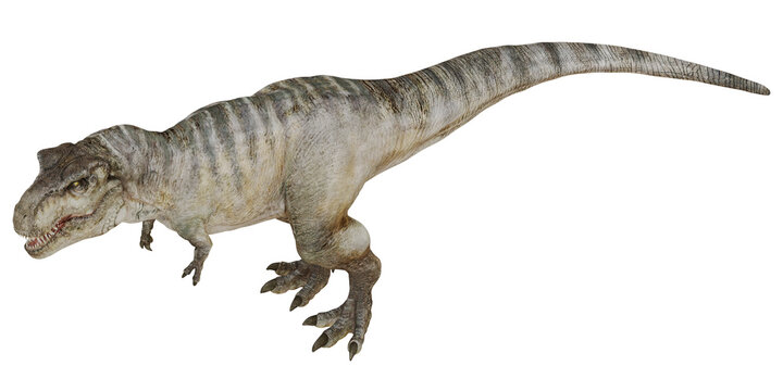 Realistic depiction of a fierce dinosaur.