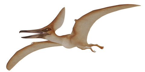 Realistic 3D rendering of a Pterodactyl in flight. © Ilie