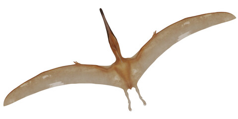 Pterosaur soaring through the ancient skies. © Ilie