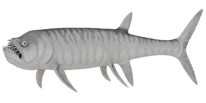 Illustration of an ancient predatory fish, Dunkleosteus.