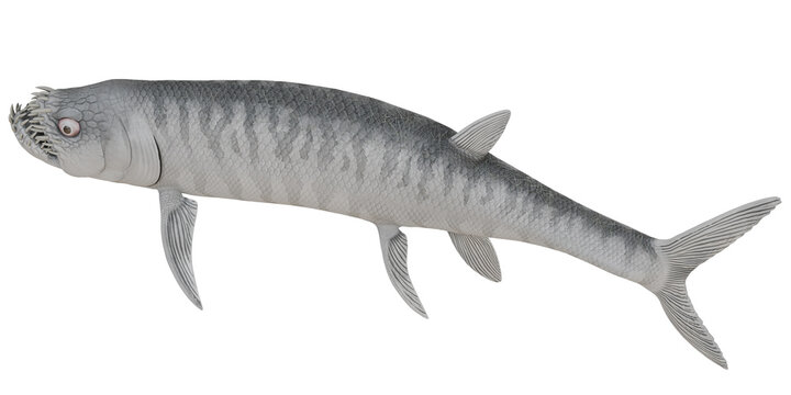 Illustration of a prehistoric fish with distinctive features.