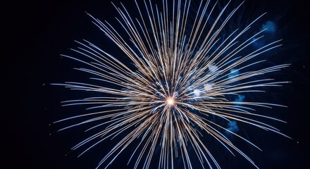 Fototapeta premium A vibrant display of fireworks illuminating the night sky with a burst of colors