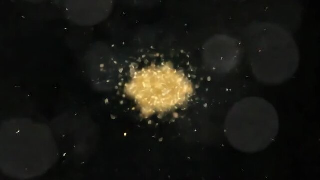 Shapes and lights shift and change in various patterns over a dark background, creating a dynamic visual experience