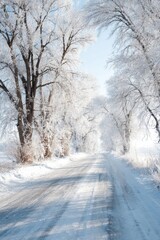 Fototapeta premium Winter season adventure exploration. A winter scene with a snowy road lined with frosted trees, their branches covered in a thick layer of snow. The sky is a clear blue, indicating a cold winter day.