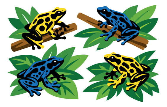 Cartoon frog set featuring colorful poison dart frogs on leaves and branches for nature and wildlife designs
