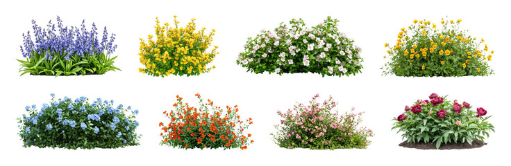 Fototapeta na wymiar PNG Colorful garden flower arrangements, transparent background