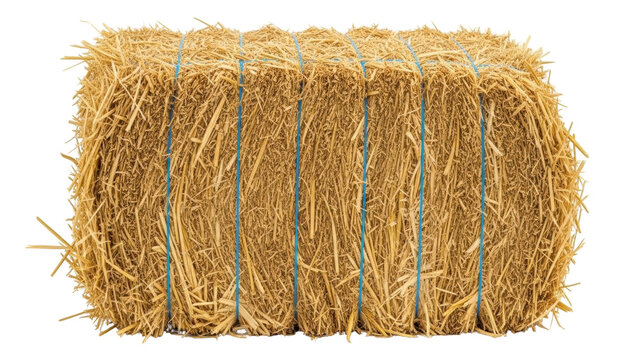 Isolated rectangular hay bale with blue ropes, tied for livestock feed or animal bedding