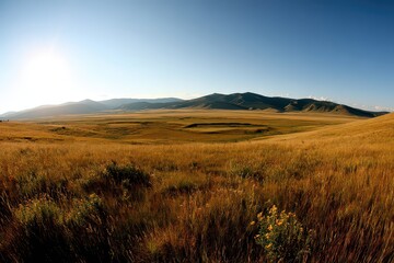Obraz premium Golden Hour Sunrise Over Rolling Hills and Dry Grasslands in a Remote Natural Landscape with Clear Blue Sky