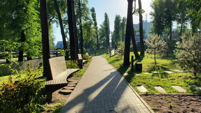 Green city park at sunny holiday