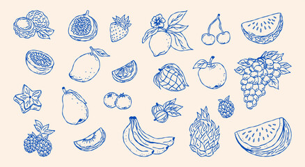 Naklejka premium Sketch hand drawn fruits vector illustration. Natural tropical fruits. Dragon fruit, pineapple, citrus, banana, fig, apple, grape, lemon, strawberry, watermelon, gooseberry, melon,tangerine.