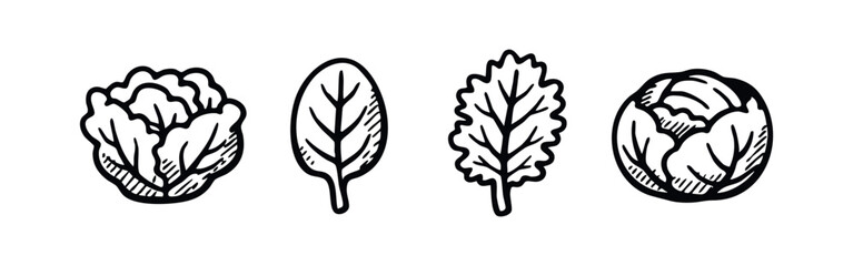 Fototapeta premium Hand drawn line art icons of various leafy greens and cabbages on a white background.