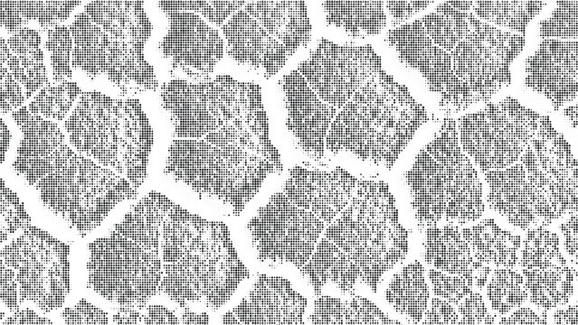 Abstract geometric pattern with small dots creating organic shapes resembling a natural structure or microscopic view on grid