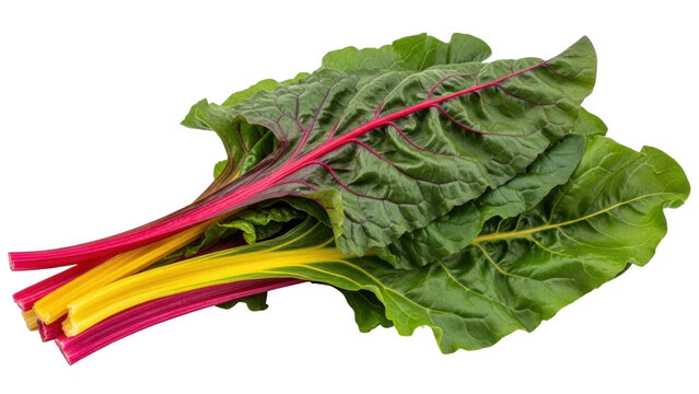 Isolated fresh rainbow chard, vibrant leafy greens with colorful stems, food ingredient