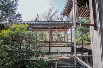 光悦寺の美しい風景