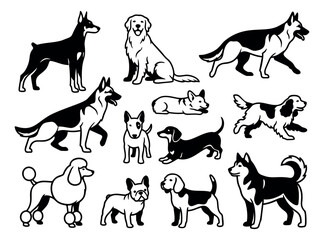 Fototapeta premium Line art dog breeds set featuring various popular dogs for animal themed designs