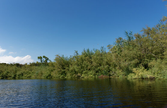 Frankreich - Korsika - Teich U Stagnolu de Bagheera