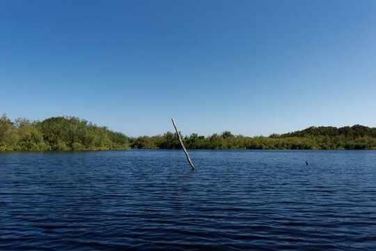 Frankreich - Korsika - Teich U Stagnolu de Bagheera
