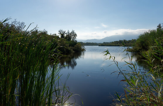 Frankreich - Korsika - Teich U Stagnolu de Bagheera