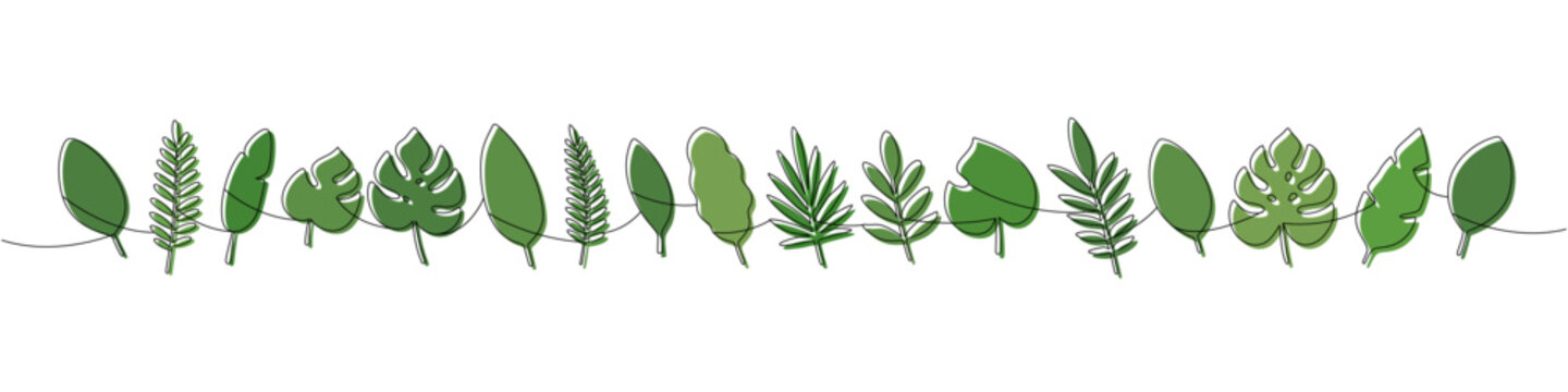 Continuous line art of assorted tropical leaves with green fill. Minimalist botanical illustration for modern design