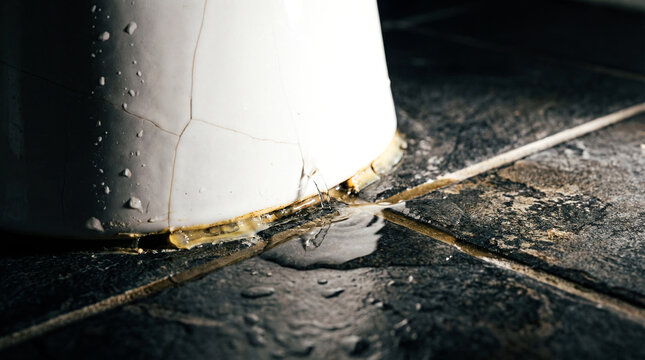 Leaking toilet base water puddle bathroom floor household emergency plumbing repair maintenance house damage accident flood insurance claim service background