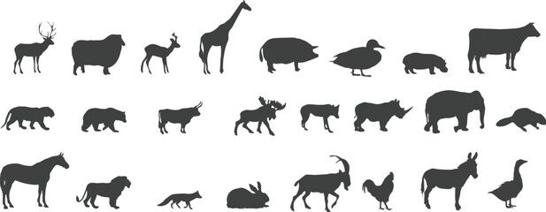 wild animals collection © rohi