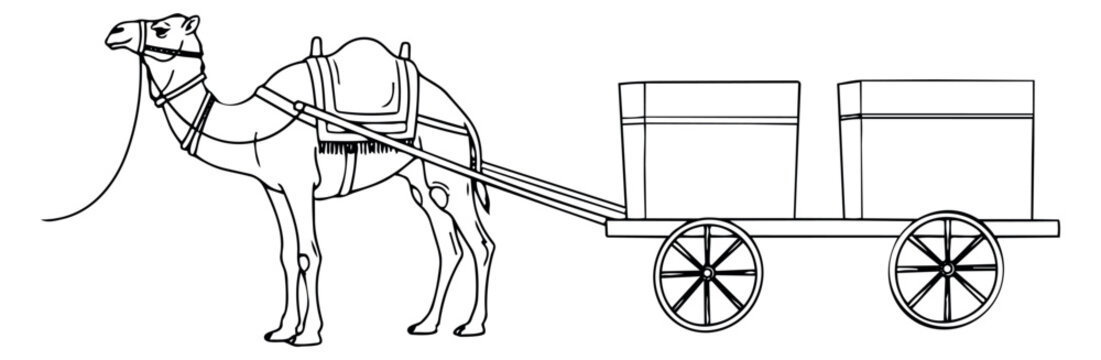 Hand drawn line art illustration of a camel pulling a cart depicting cargo transportation for desert travel