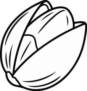 Simple black line drawing of an open pistachio nut