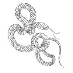 Fototapeta premium Png illustration of a snake tattoo on a transparant background