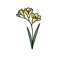 シンプルなフリージアのカラーアイコン