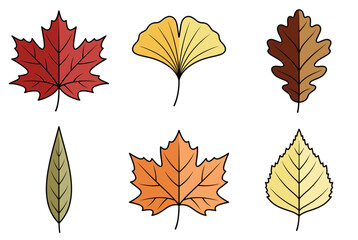 Naklejka premium Diverse autumn leaf collection with maple ginkgo oak and birch leaves in fall colors for seasonal decoration and nature appreciation design elements