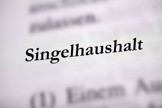 Singelhaushalt - schwarzes Textwort in deutscher Sprache