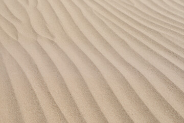 Close-up of Rippled Desert Sand Dunes Showcasing Natural Texture and Organic Patterns Ideal for Backgrounds or Nature-Themed Designs