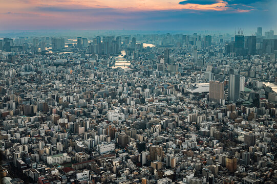japan, japonia, asia, tokio, tokyo, skytree, asakusa, shibuya, shinjuku, night