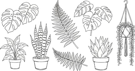 A collection of potted houseplants and delicate ferns in a minimalist outline style