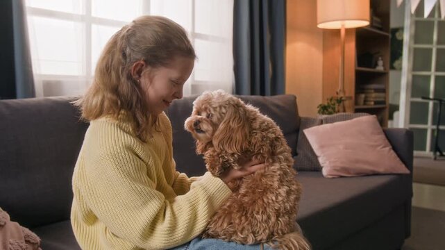 Gentle maltipoo dog licking nose of smiling gen alpha girl and looking at camera while kid sitting on couch holding pet on her lap