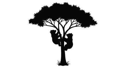 Two bears climbing a tree a striking black silhouette © Taylor
