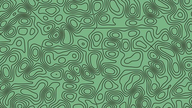 A green topographic map pattern with black lines