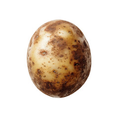 PNG of A raw, unpeeled brown potato with a rough texture and uneven surface.