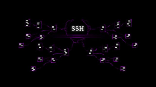 Secure S H Network Connection with Digital Data Transfer and Cybersecurity Visualization SSH connection