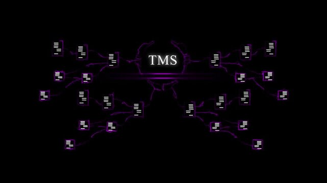 Futuristic Digital Network with T M S Central Hub and Data Flow Connections TMS central hub cyber network visualization