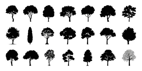 A collection of diverse tree silhouettes showcasing various shapes and sizes Vector © AZIFA