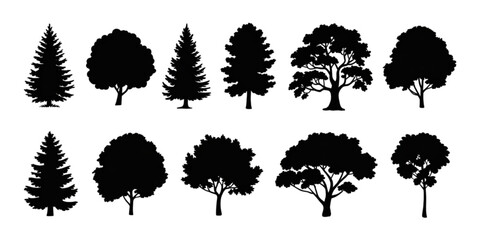 A collection of various trees in black and white silhouette style Vector © AZIFA