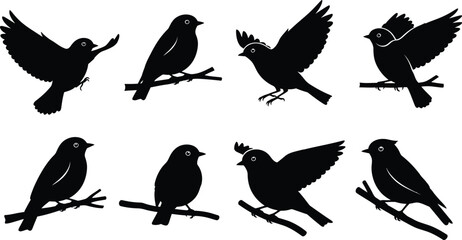 Obraz premium Bird icon set various black silhouette birds on branches