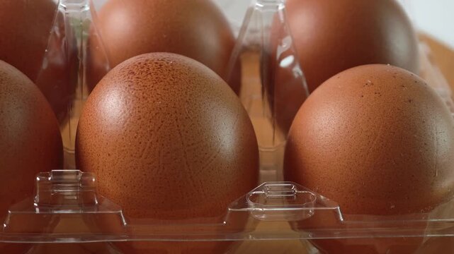 Chicken eggs in tray. Fresh chicken eggs