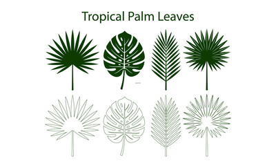 Stylized depictions of diverse palm leaves, presented in both colored and grayscale line art versions. © Mithun
